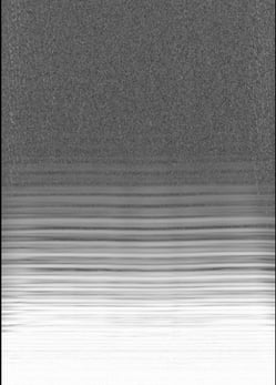 1829AB1081 (002)_crop